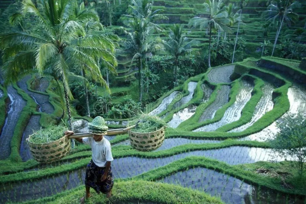 Wos Ubud Villa