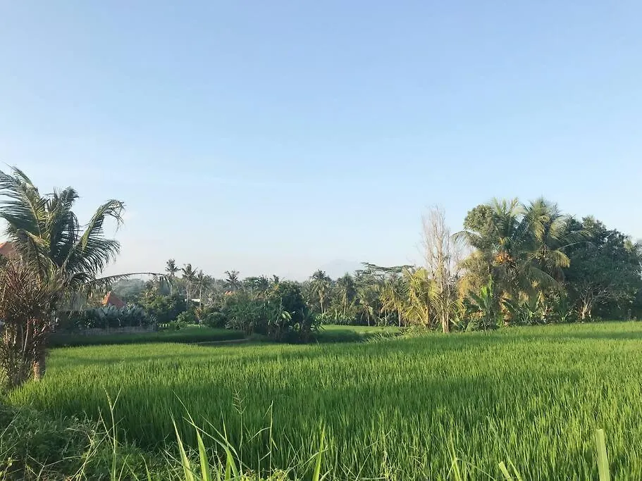 Wos Ubud Villa