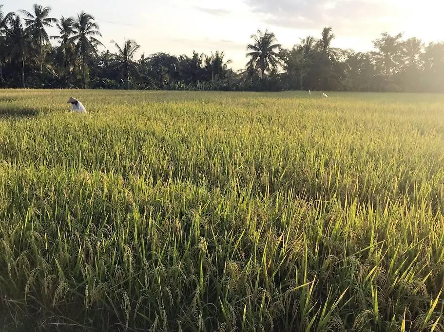 Wos Ubud Villa