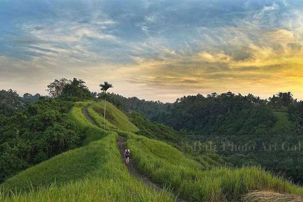 Wos Ubud Villa 0*,  Indonésie