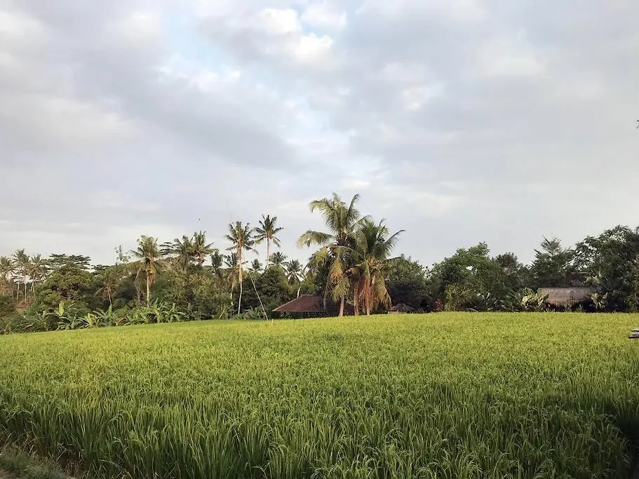 Wos Ubud Villa
