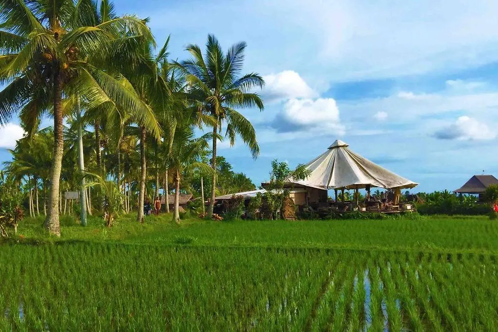 Wos Ubud Villa 0*, Ubud (Bali)