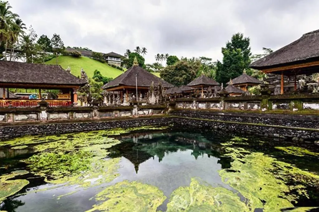 Wos Ubud Villa 0*, Ubud (Bali)